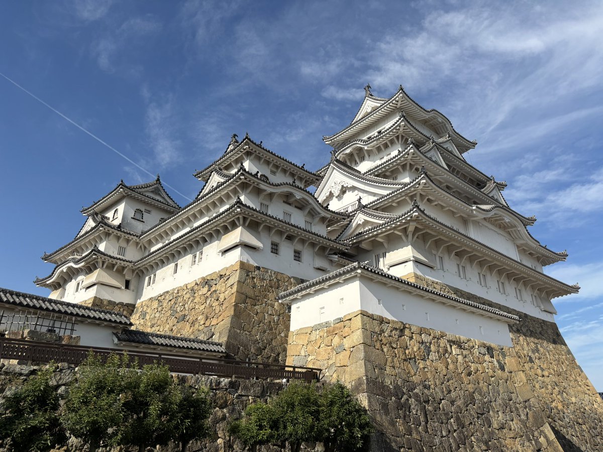 日本の城めぐり ([バラエティ]) Amazon.co.jp: 日本の城めぐり ([バラエティ]) : 成美堂出版編集