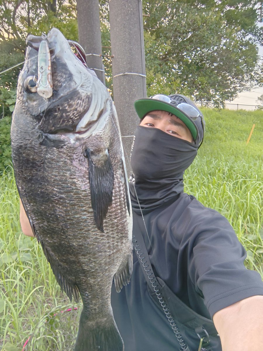 N4oNagashima's tweet photo. なんと クロダイが おきあがり
なかまに なりたそうに こちらをみている!
なかまに してあげますか?
▷はい.
いいえ.
クロダイが なかまに くわわった!
クロダイは うれしそうに
ばしゃにかけこんだ!
#BlueBlue #ブルーブルー
#ガチポップ #GACHIPOP60 https://t.co/dorQRAZPd8