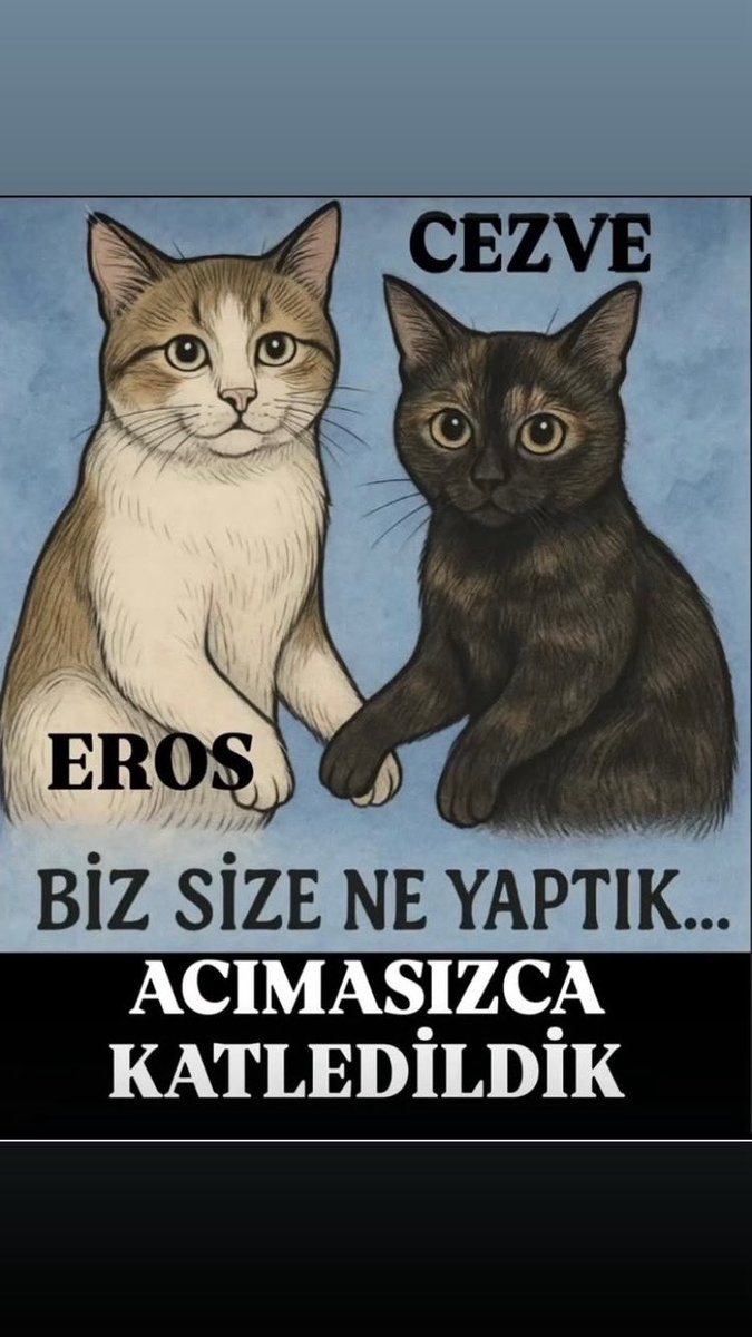 TCaysimozsoy's tweet image. #erosvecezveiçinadalet
