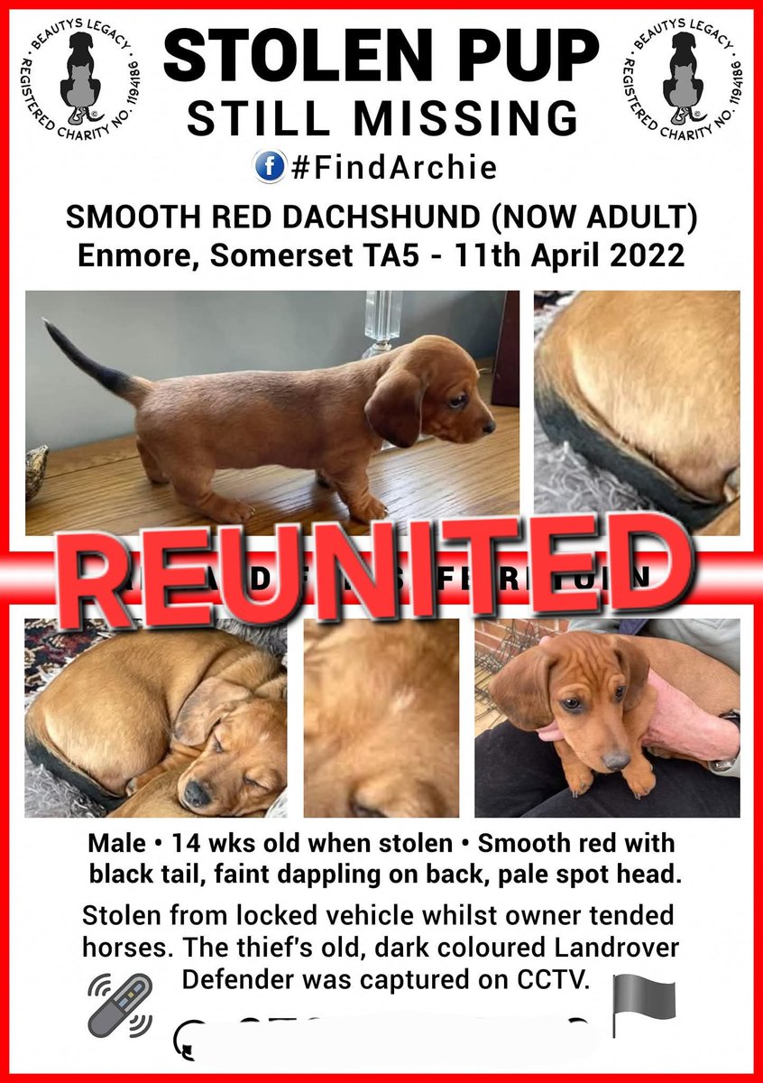 Beautys Legacy registered charity 1194186 (@beautys_legacy) on Twitter photo Thrilled to announce we have found Archie #Dachshund after being stolen as a puppy 3 YEARS AGO and he is home.
Read his story here
facebook.com/share/p/1GKJgy…
#REUNITED #DreamsComeTrue
<a href="/ASPolice/">Avon and Somerset Police</a> <a href="/bbcsomerset/">BBC Somerset</a> <a href="/SomersetLive/">Somerset Live</a> <a href="/AandSPCC/">Avon & Somerset Police & Crime Commissioner</a> <a href="/thismorning/">This Morning</a> Thrilled to announce we have found Archie #Dachshund after being stolen as a puppy 3 YEARS AGO and he is home.
Read his story here
facebook.com/share/p/1GKJgy…
#REUNITED #DreamsComeTrue
<a href="/ASPolice/">Avon and Somerset Police</a> <a href="/bbcsomerset/">BBC Somerset</a> <a href="/SomersetLive/">Somerset Live</a> <a href="/AandSPCC/">Avon & Somerset Police & Crime Commissioner</a> <a href="/thismorning/">This Morning</a>