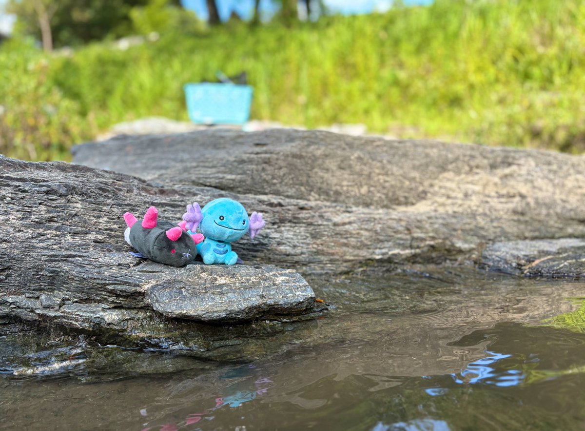 timm613's tweet image. ᗘ(•‿̳̳•)ᗛ