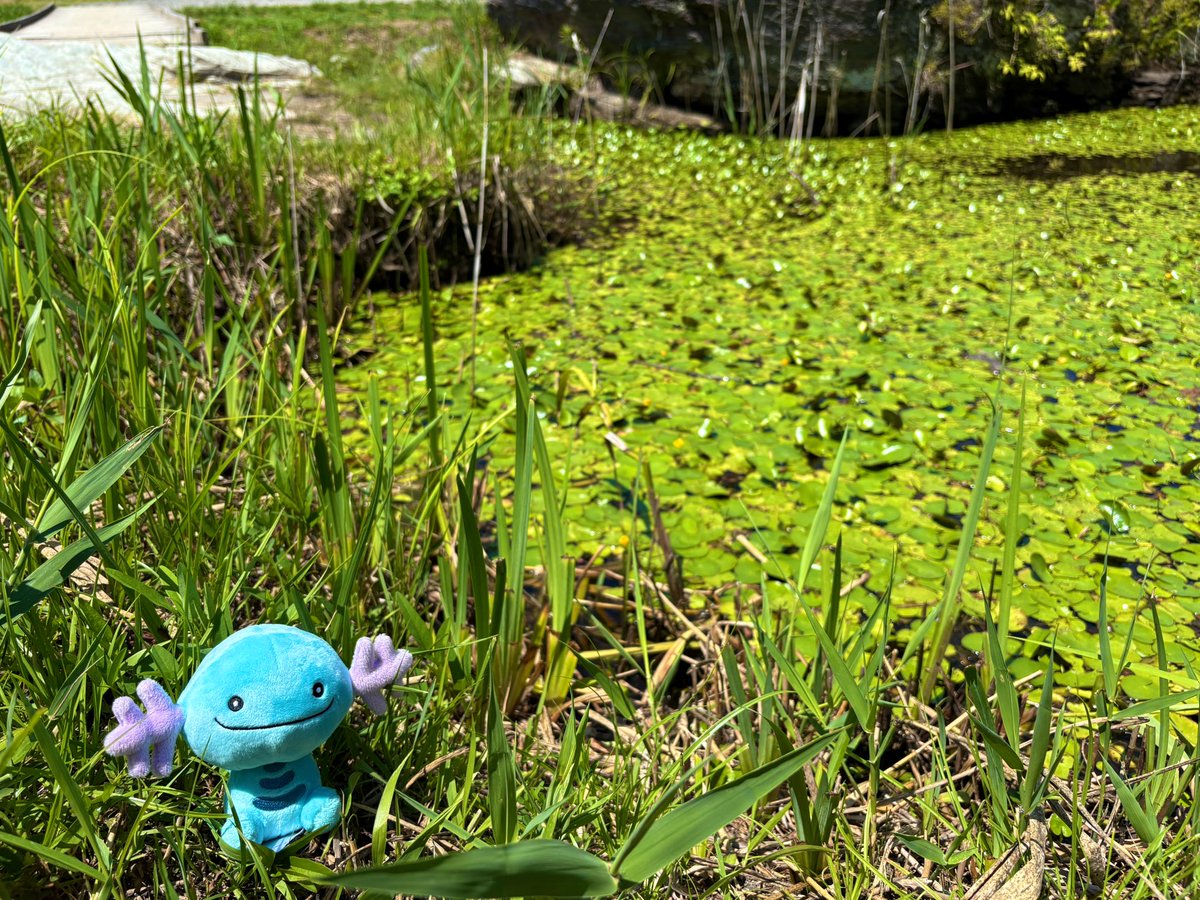 timm613's tweet image. ᗘ(•‿̳̳•)ᗛ