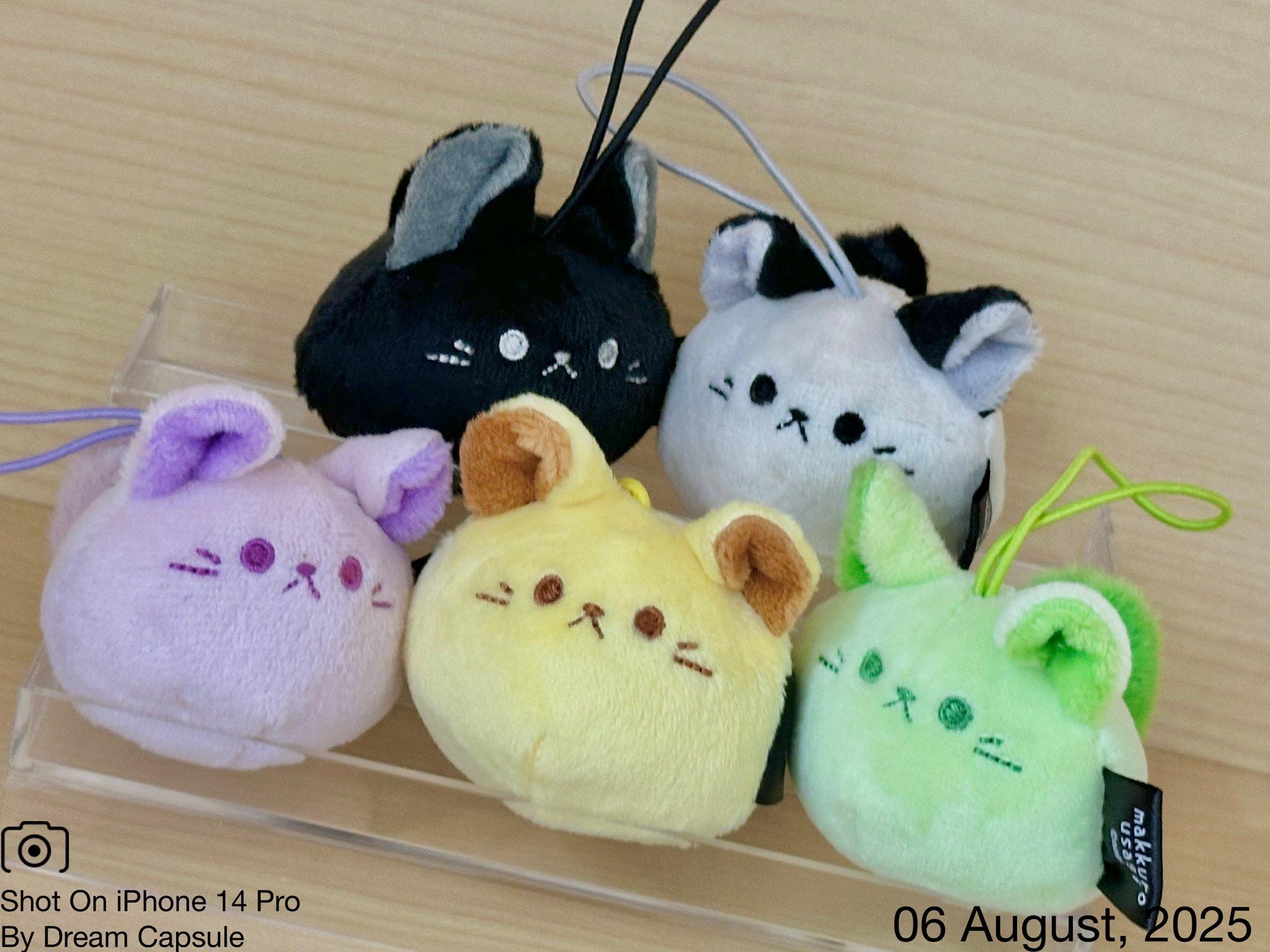どうぶつのガチャガチャ　まとめ売り　15,000→12,000 TAMA-NIMAL（たまにまる） | カプセルトイJP ガチャガチャ