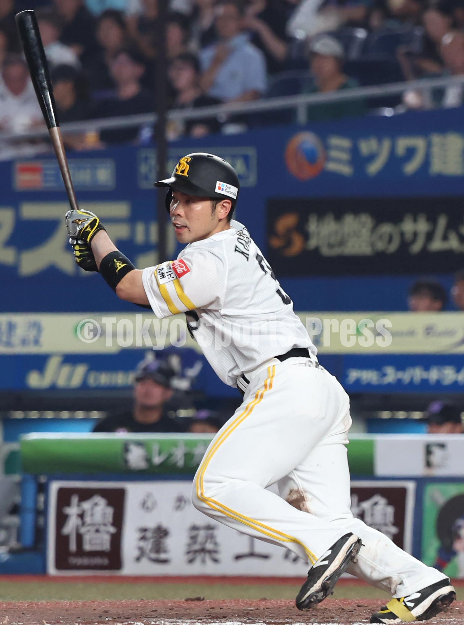 /野球拳の家元/創始者/前田伍健/野球拳/布袋屋掛軸HJ-448 鷹・又吉が4回無失点の快投 楽天19歳右腕が初勝利、31日ファーム