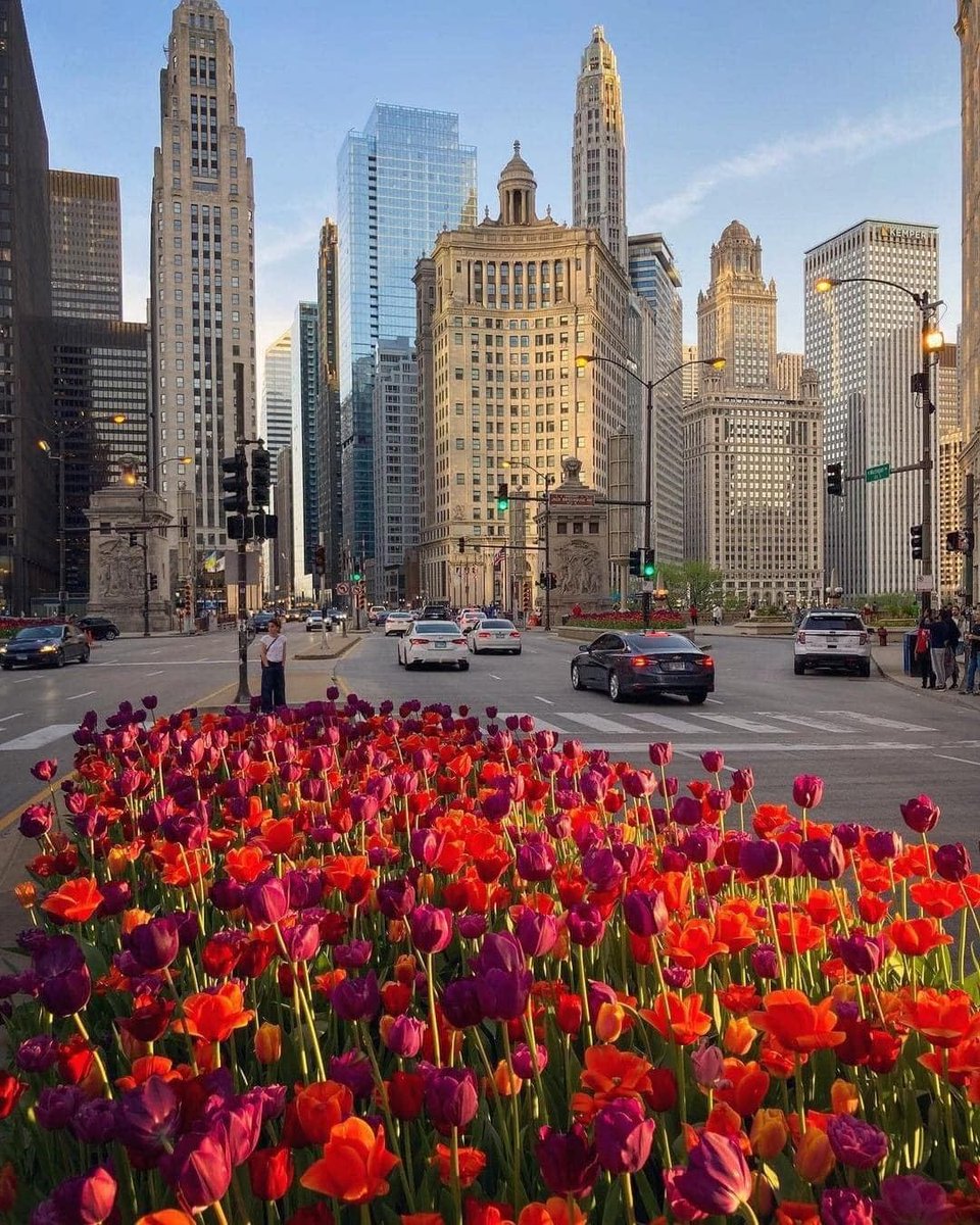 JadeJohnso87396's tweet image. Chicago, Illinois ·· Artist