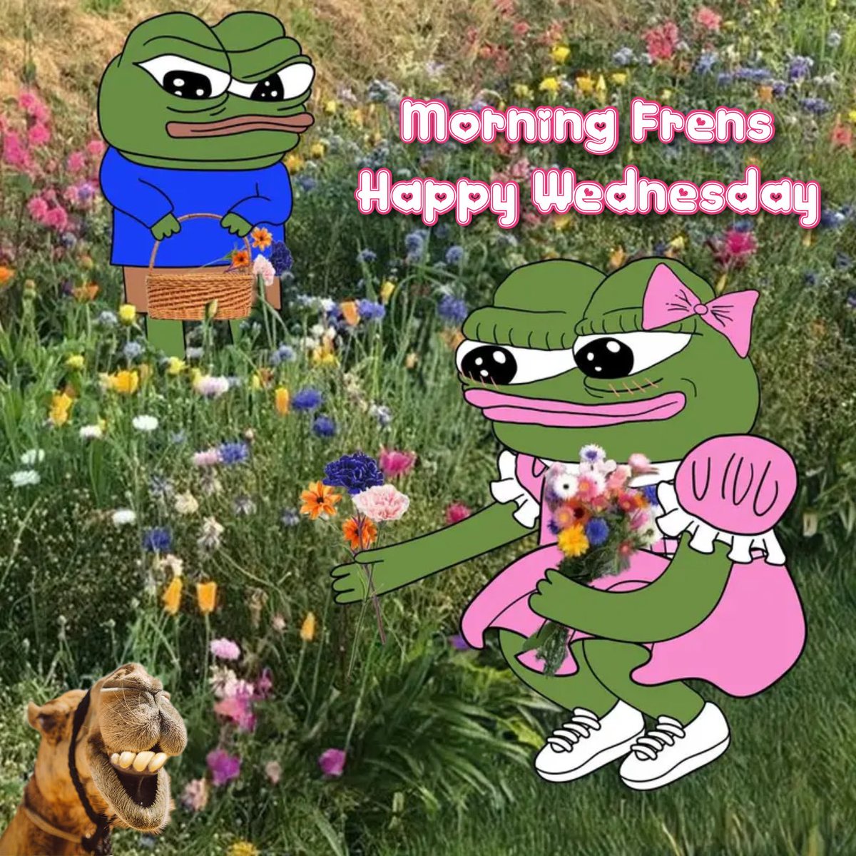 GM