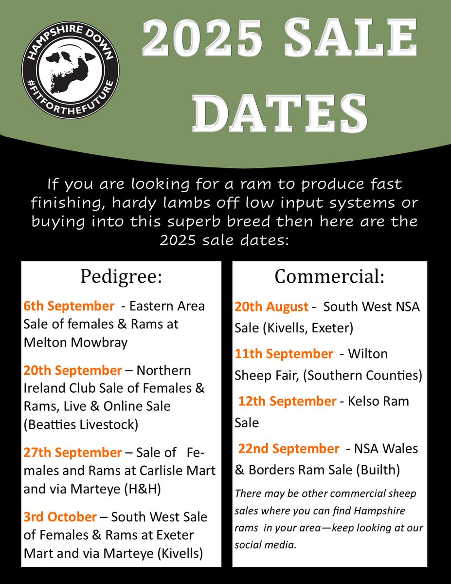 Hampshire Down Sheep (@hampssheep) on Twitter photo 