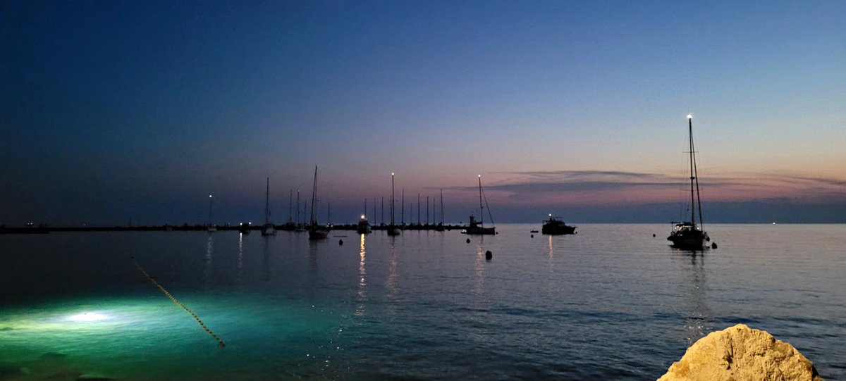 Un eco en mi noche — Marco Antonio Torres Mazón comparte recuerdos, lecturas y reflexiones en su Cuaderno de verano IX.
📌 Opinión completa en Palabras enmarcadas: vistaalegretorrevieja.com
#VistaAlegre #Reflexiones #PalabrasEnmarcadas <a href="/Marco_Ant_1977/">Marco Antonio</a>