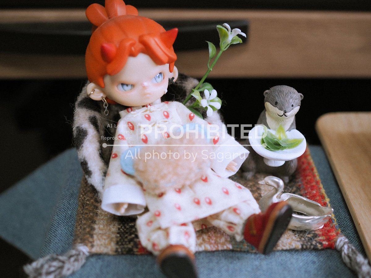 やっぱり単焦点にしてから青っぽくてちょっとレトロに映るな〜！レンズ買ってよかった！(これはちょっとだけ綺麗にしたけど)

いつも気付いたらずり落ちてるadouくん
ピントはカワウソにもってかれたね😉

#メガトレ服 #achueアイ