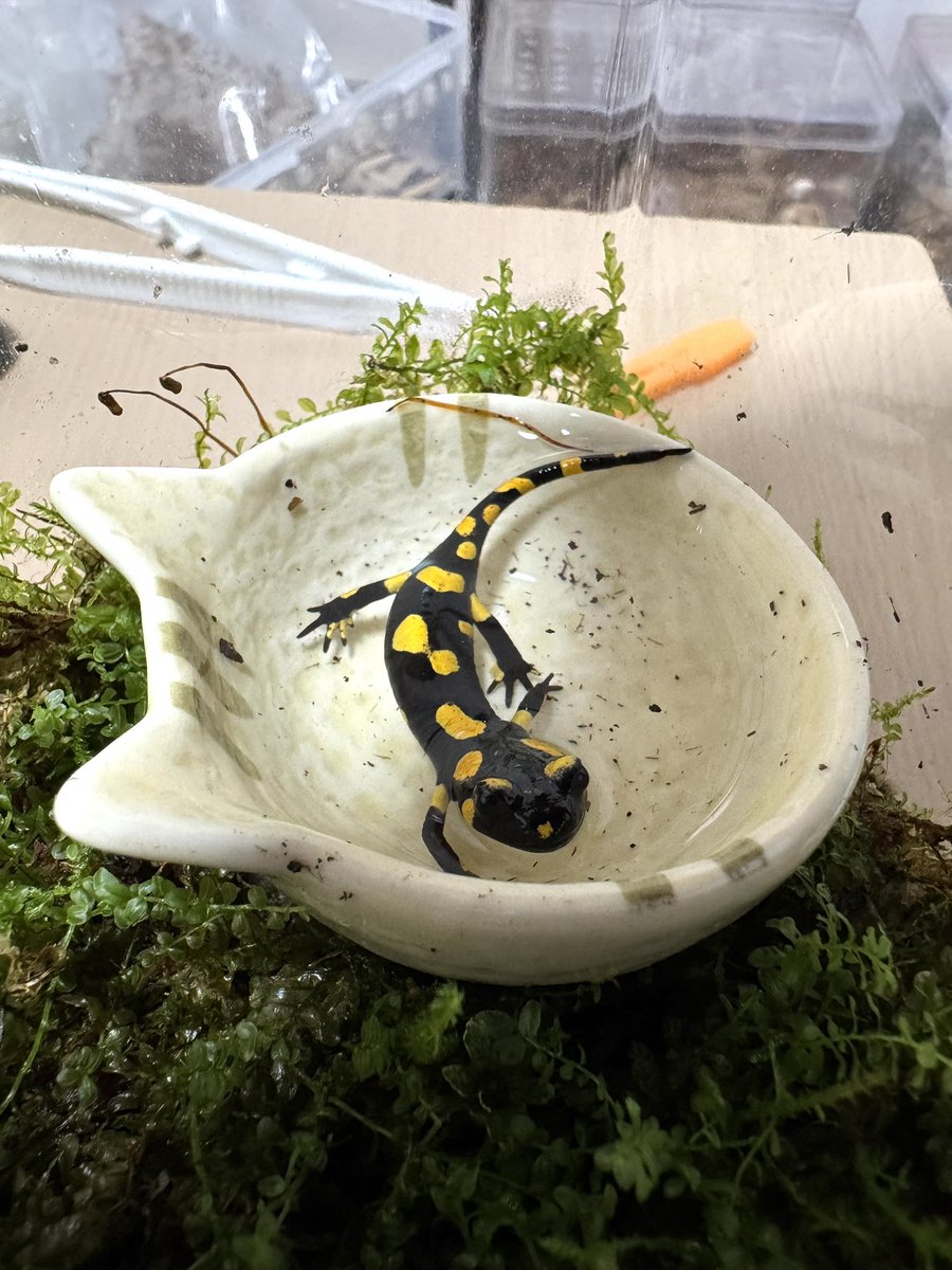 気持ちよさそう