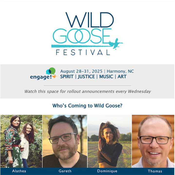 wildgoosefestival.org/?blm_aid=59557