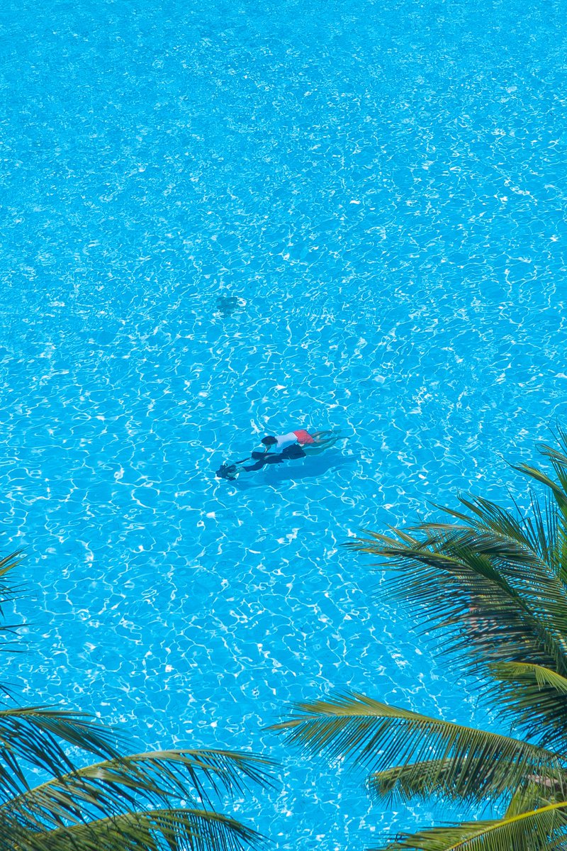 저도 누군가에게 전하고 싶은 사진들이 있어요