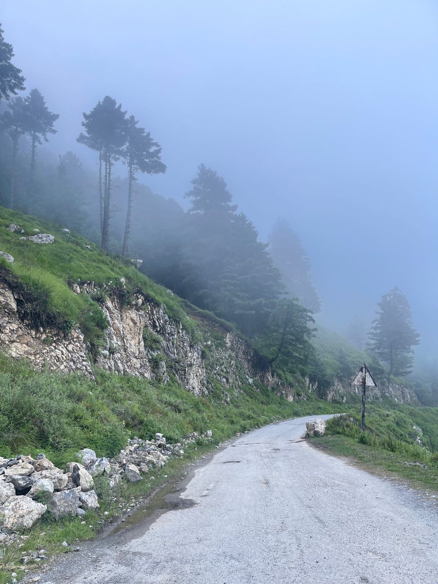 God made everything beautiful!