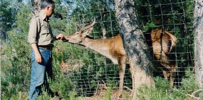 Federación Andaluza de Caza (@andaluciacaza) on Twitter photo No, los cazadores no acabaron con los ciervos de la sierra de Almería; fueron quienes reintrodujeron la especie en la zona
⚠️ Respondemos a la noticia emitida por <a href="/CSurNoticias/">CanalSurNoticias</a> en televisión el pasado domingo criminalizando a la caza: fac.es/prensa/no-los-… No, los cazadores no acabaron con los ciervos de la sierra de Almería; fueron quienes reintrodujeron la especie en la zona
⚠️ Respondemos a la noticia emitida por <a href="/CSurNoticias/">CanalSurNoticias</a> en televisión el pasado domingo criminalizando a la caza: fac.es/prensa/no-los-…
