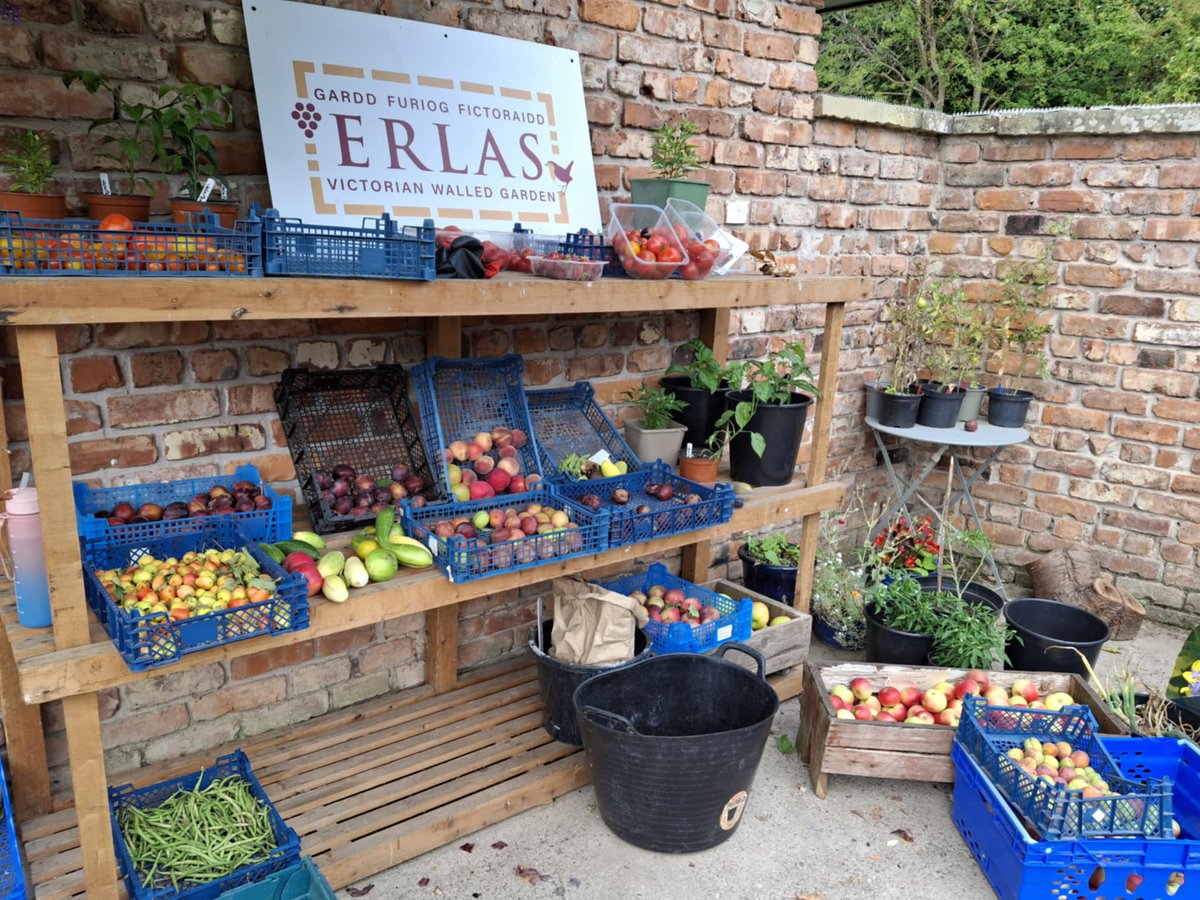 📷 Come and Visit Erlas Victorian Walled Garden!
📷Erlas have lots of seasonal fruits and vegetables for sale at the entrance to our garden this week.
📷Our popular Vegetable boxes will be on sale Thursdays 12.30-3pm. Cash and cards are accepted.
📷 Admission and parking is FREE