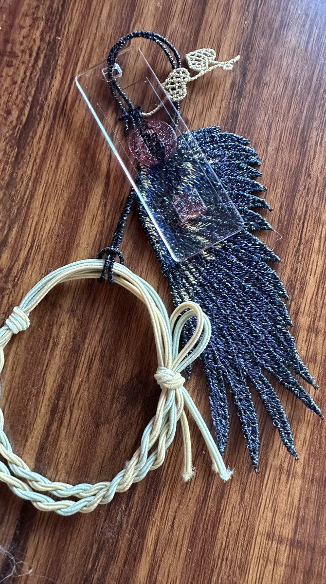 乌鸦的新鸟羽 乌鸦的贴身小饰