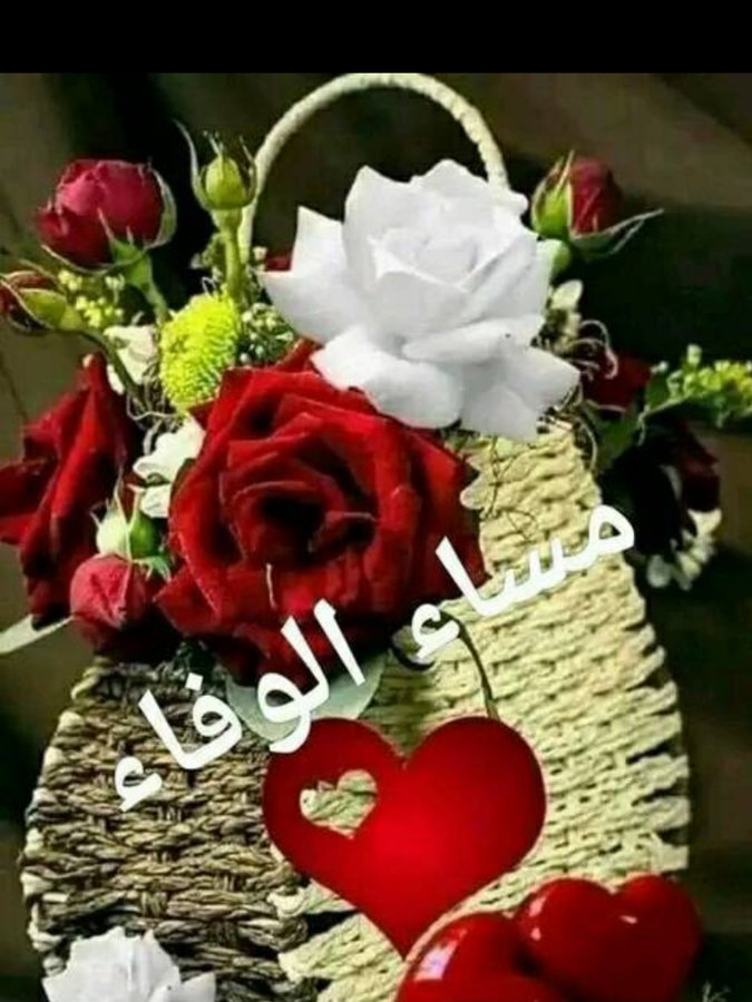 لبيك اللهم لبيك@ اي حساب غير محترم مكانه الحظر tweet media