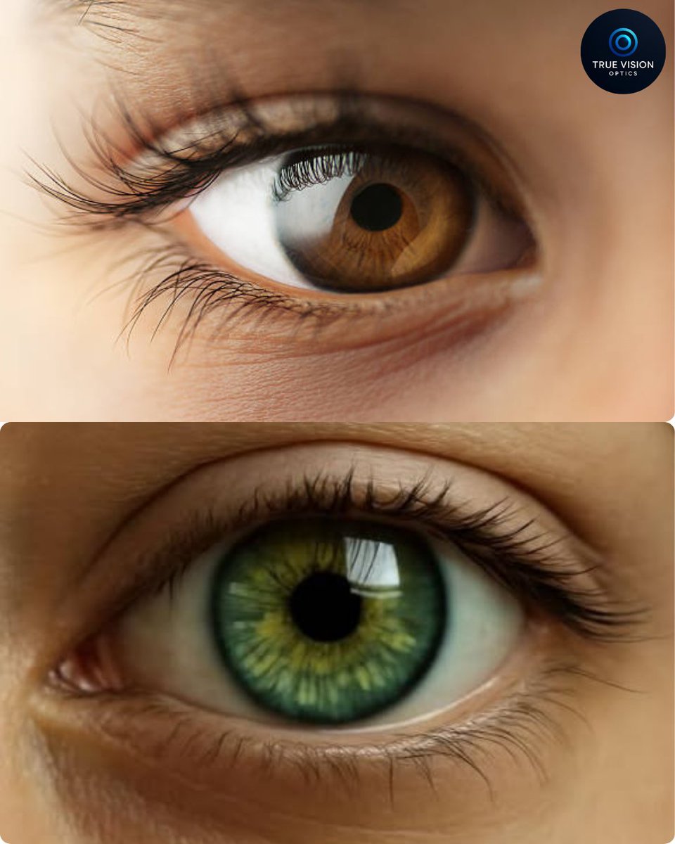OpticsTrue22's tweet photo. Fun Fact✨

The most common eye color is brown. About 70–80% of the world’s population has brown eyes, while only about 2% have green eyes, making it the rarest color.✨👁️

#TrueVisionOptics #EyeFact #EyeHealth #DidYouKnow #FunFact #EyeCare #VisionFacts #AmazingEyes #HealthyEyes https://t.co/U3gANBAmJM
