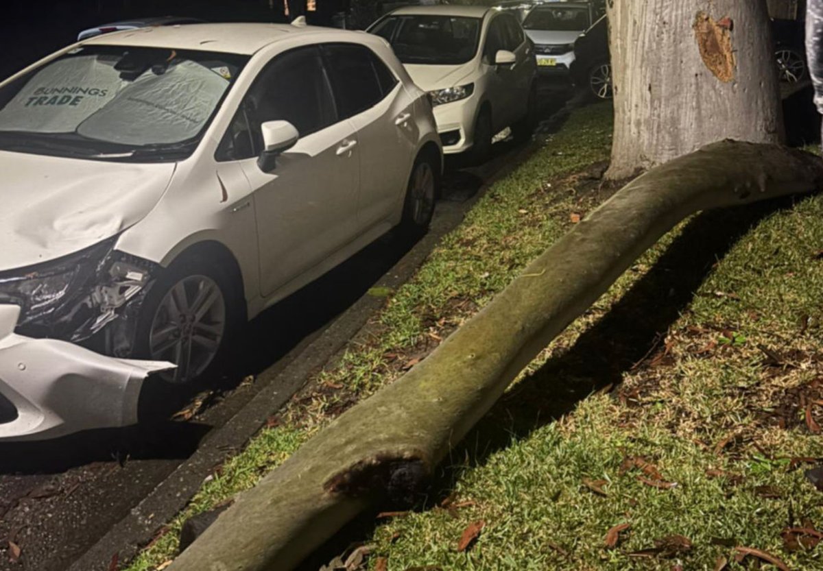 Our Weekly News Blast is out Artarmon Man Charged with Child Abuse Material - Worked at Lane Cove West OOSH| Lane Cove Festival Programme Is Out So Much to See and Do in Sept 2025 - *|mailchi.mp/inthecove.com.…|*. LINK IN BIO