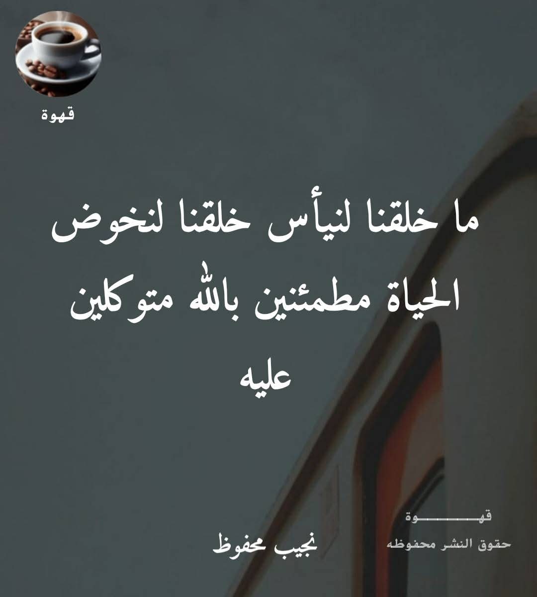 Hossam Tayel (@hossamtaye42434) on Twitter photo 