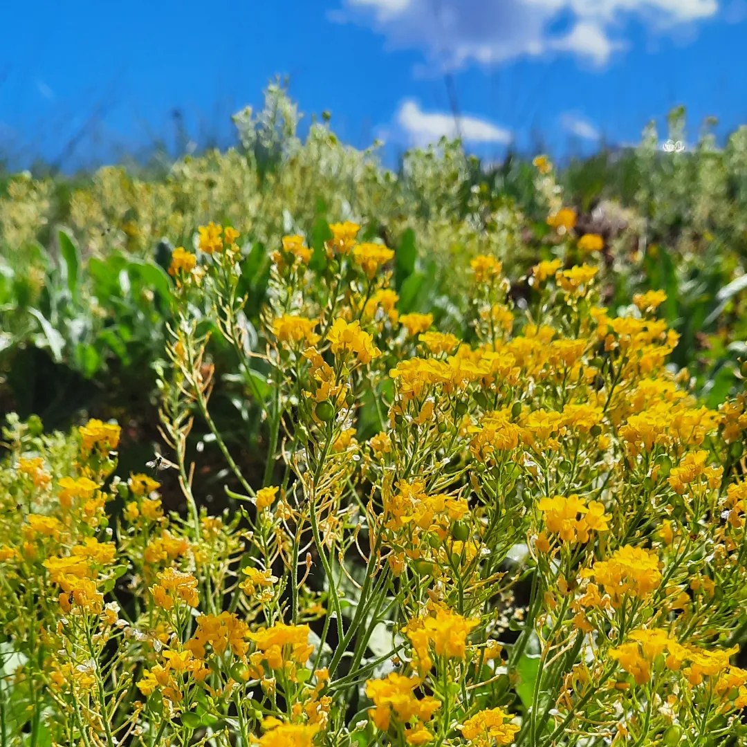 Nach ~3 Monaten #Training (Laufen/Kraft), um nach Innenbandanriss im Knie fit zu werden:  

&gt; 13kg weniger 
&gt; Treppensteigen + im moderaten Tempo laufen kein Problem mehr 
&gt; keine Schmerzen im Bein mehr, wenn's mal 17km am Tag sind 
&gt; neues Hobby Training  

Konsequenz hilft ❤️