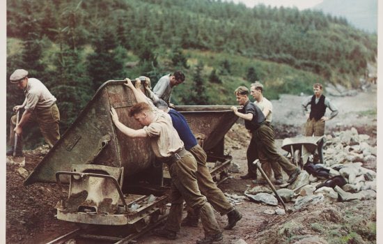 Using the Irish to excuse mass immigration is redundant.

The Irish travelled to Pre-Early Industrialised societies, built railways and worked in factories.

The current class of migrant comes to a post industrialised society to collect benefits