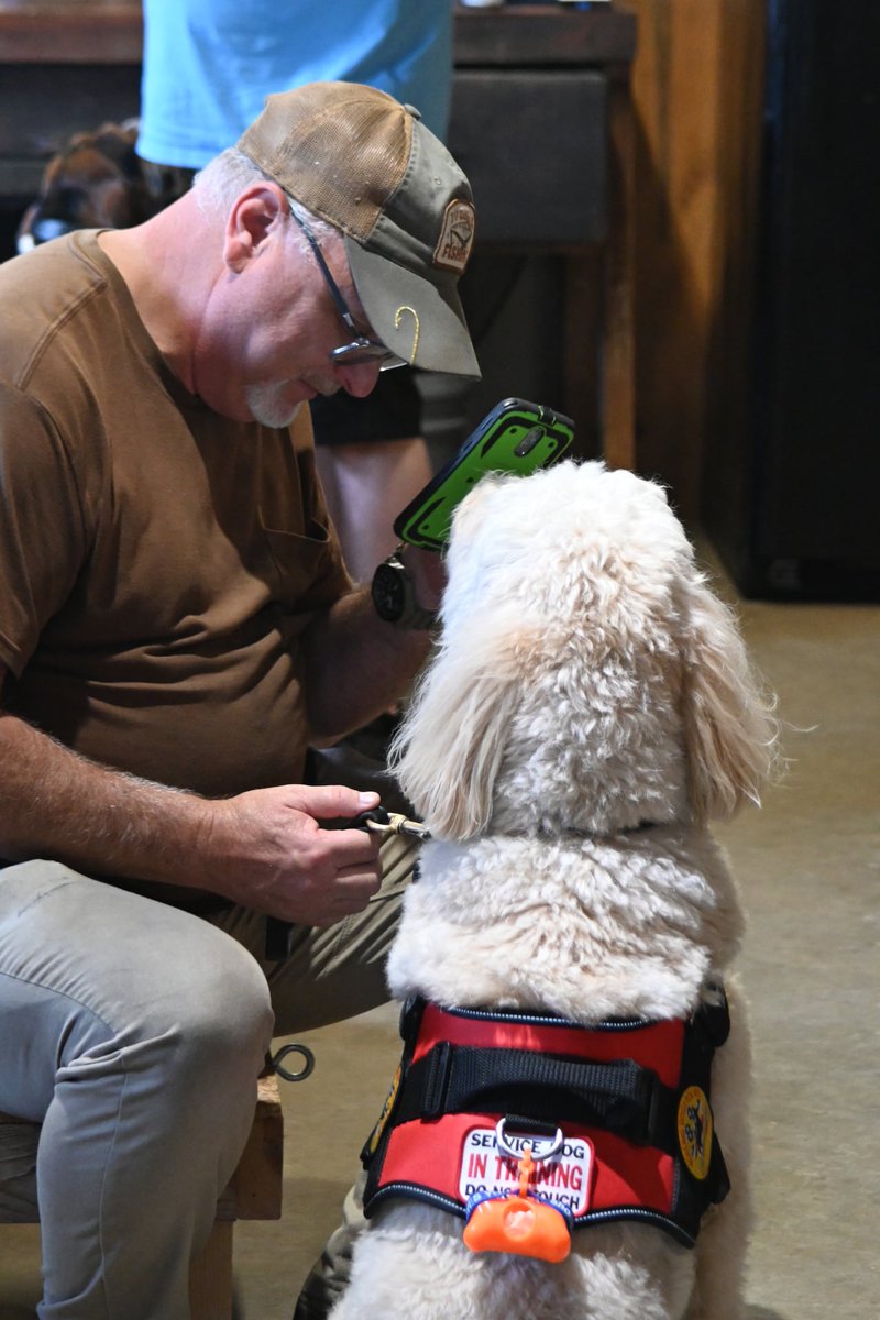 84DogsHelp's tweet image. Empowering veterans through purpose-
built partnerships. Veteran Greg and his 
Service dog in training, River, is learning essential retrieval skills—restoring 
independence, one task at a time. 
#WorkingDogsForVets #VeteranSupport  wix.to/TEfdO6r