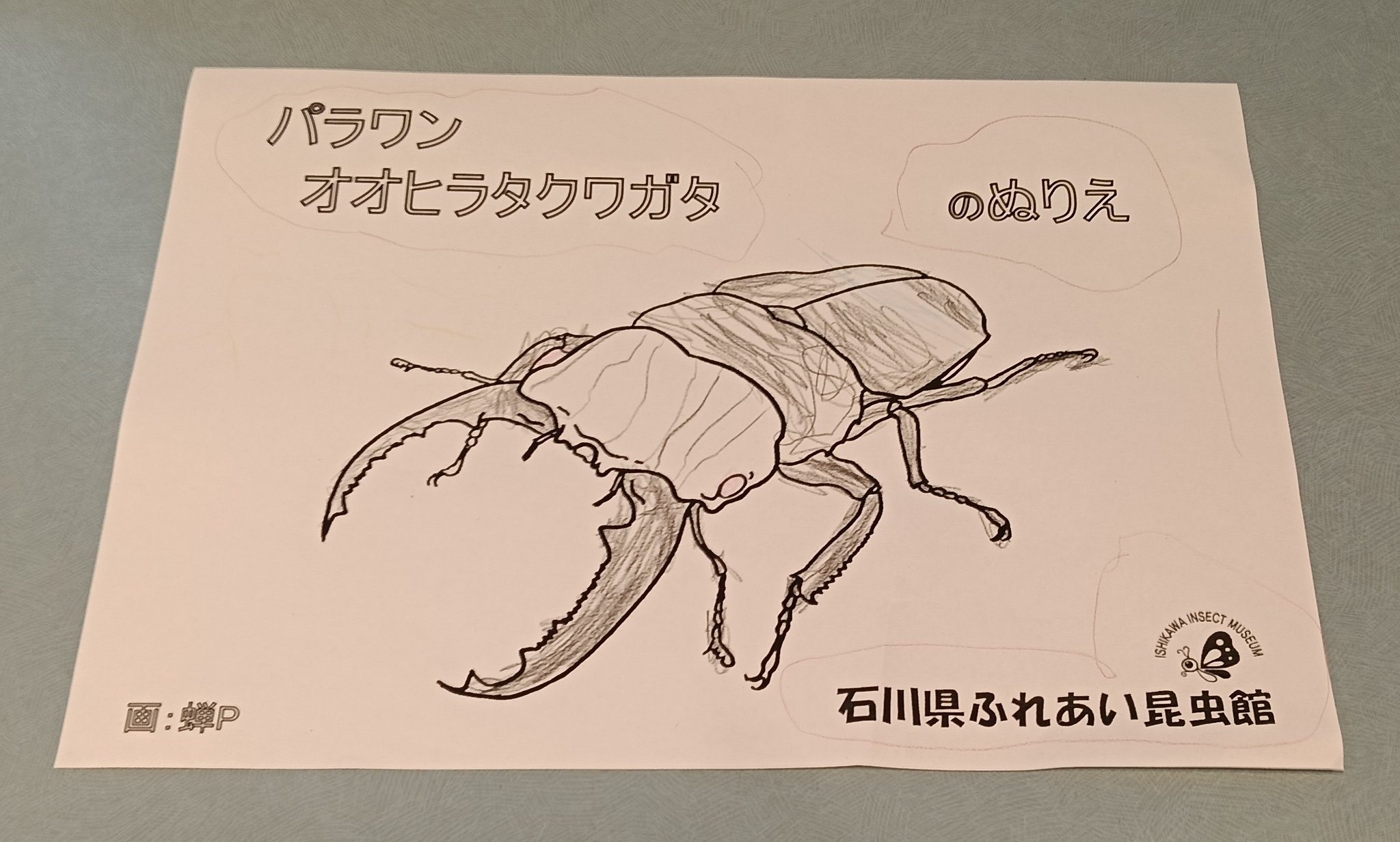 虫さん専用 虫除けZ防虫ネット | 製品情報 | CO-COS：ユニフォームと作業