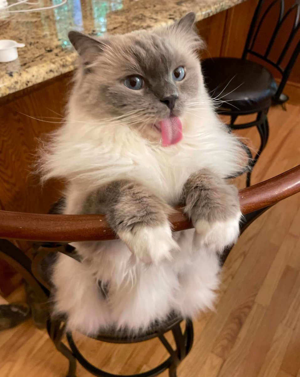 Happy Wednesday!😝