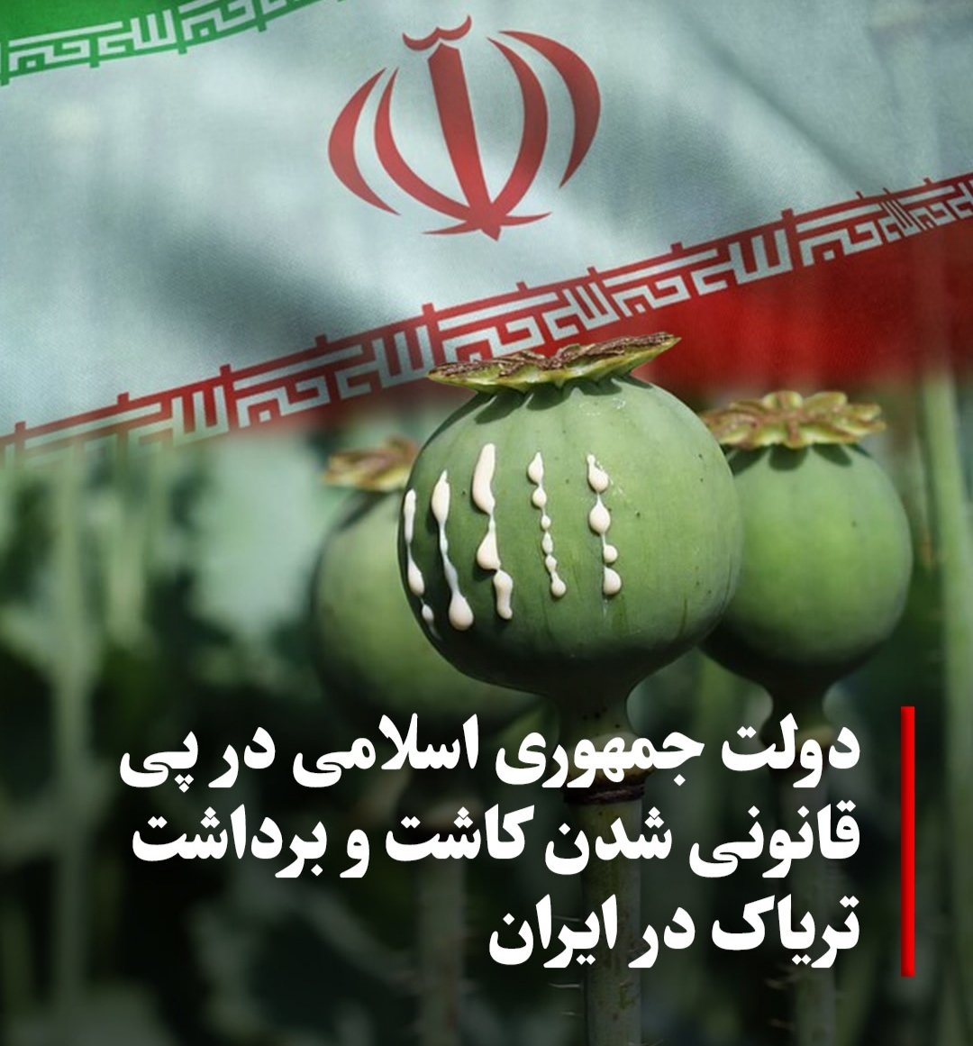 همه را معتاد کنند تا راحت‌تر ایران را چپاول کنند!
#دشمن_ما_همینجاست 
#همکاری_ملی
#MIGAwithPahlavi