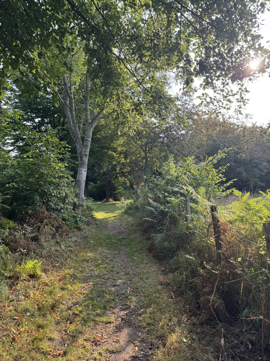 Jim had walk at a local nature reserve counted 7 wrens and 1 heron didn’t see the kingfisher 
💙