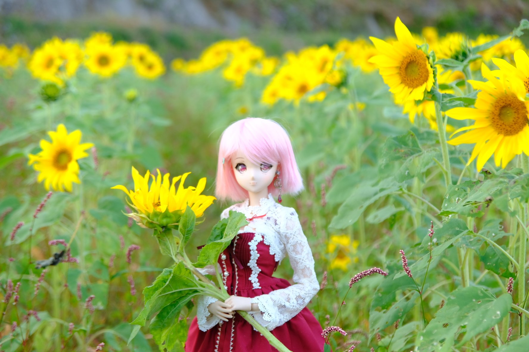 ★スーちゃんと夏の風景★ひまわり ☆スーちゃんと夏の風景☆ひまわり いーちゃん🎒🩵 on X: