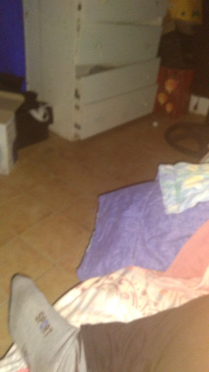 Rixen (@rixen_one_bit) on Twitter photo Asi me despierto (tardo media hora en levantarme) y no, <a href="/BautistaMaroa/">Plaguis ★𓆝 𓆟 𓆞 𓆝 𓆟</a> no te voy a mostrar las patas Asi me despierto (tardo media hora en levantarme) y no, <a href="/BautistaMaroa/">Plaguis ★𓆝 𓆟 𓆞 𓆝 𓆟</a> no te voy a mostrar las patas