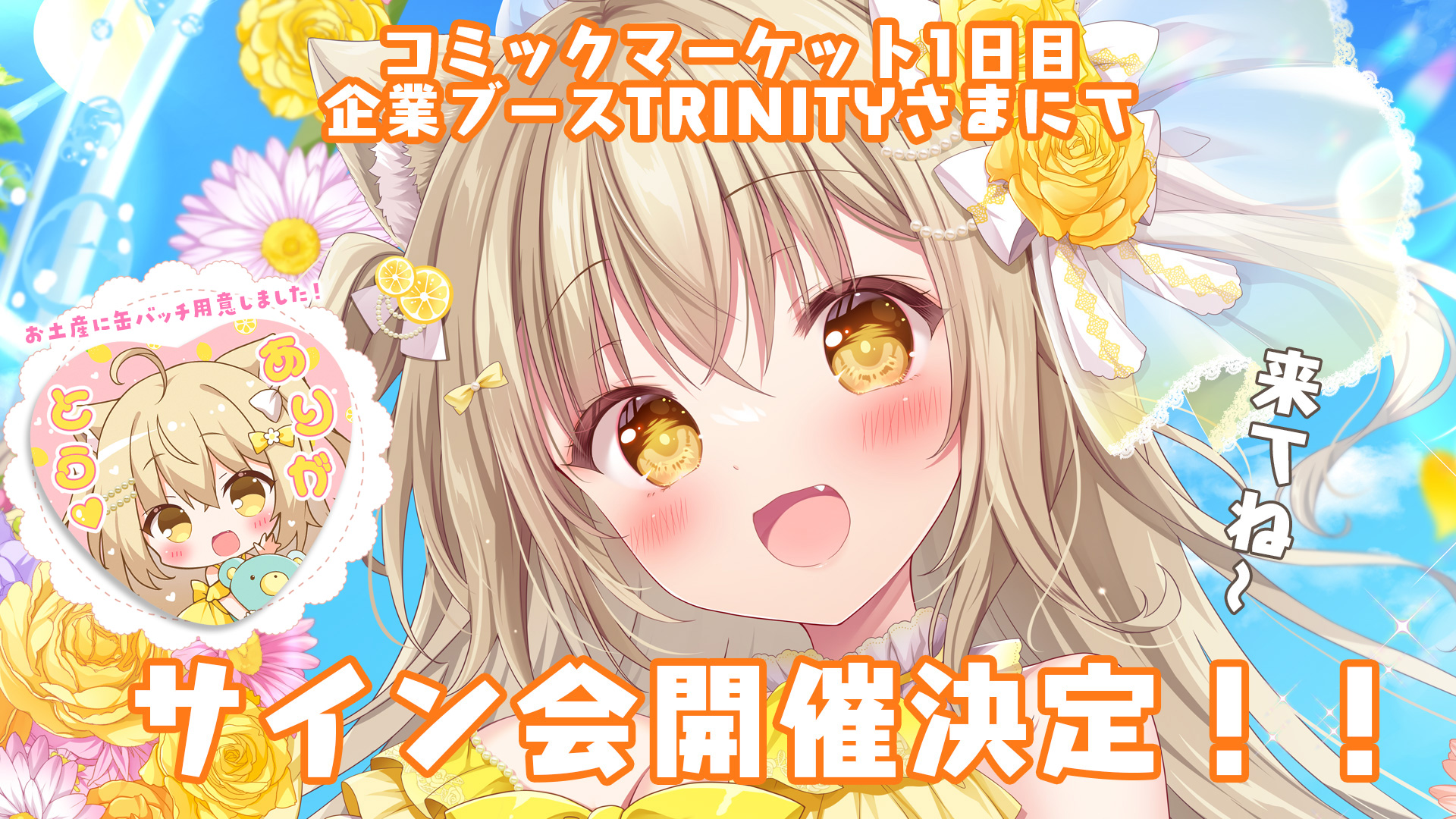 ちゃぴこさま専用 オンライン及び一部店舗限定価格＊】シルバニアファミリー