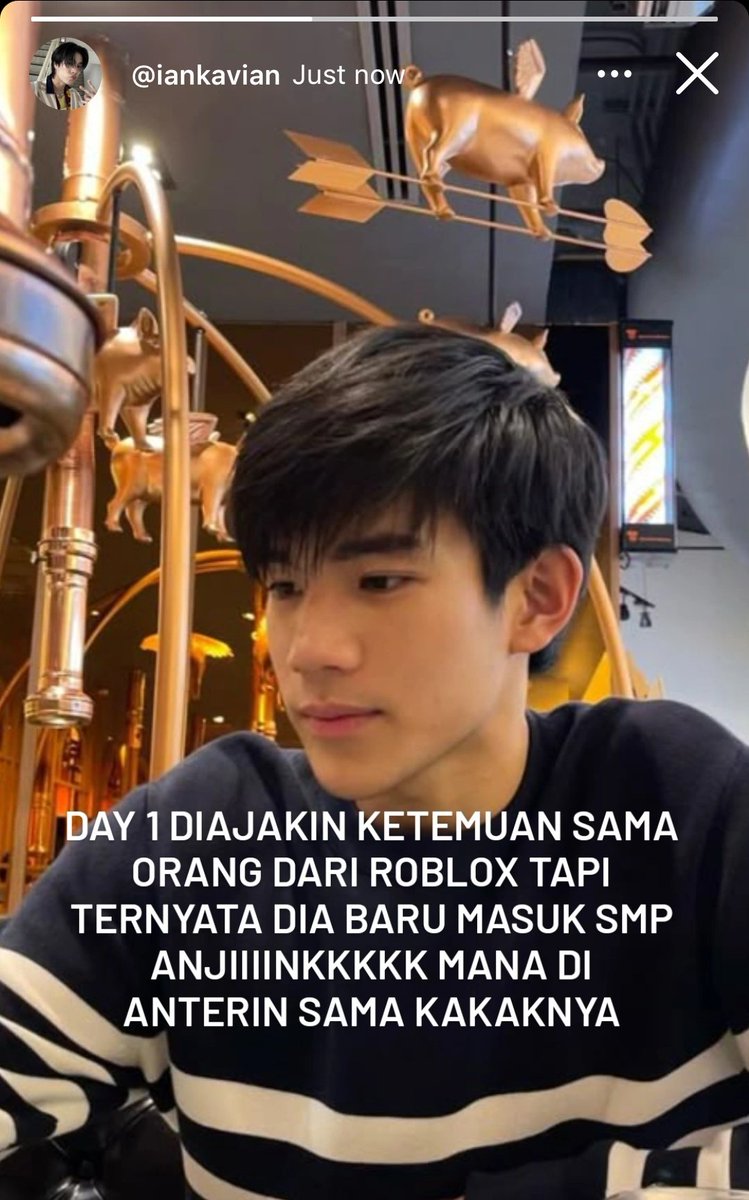 ll. 🦢 tweet media