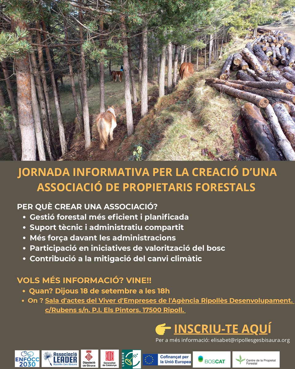 LeaderRGB's tweet image. Inscriu-te i vine a la jornada informativa per la creació d'1 associació de propietaris forestals🌳
Dia: 18/09/2025
Hora: 18:00 h.
Lloc: Sala Viver d'Empreses de l'Agència Ripollès Desenvolupament (Ripoll)
Inscripcions: ja.cat/MAKfZ
#ENFOCC2030 @DiputacioGirona @diba