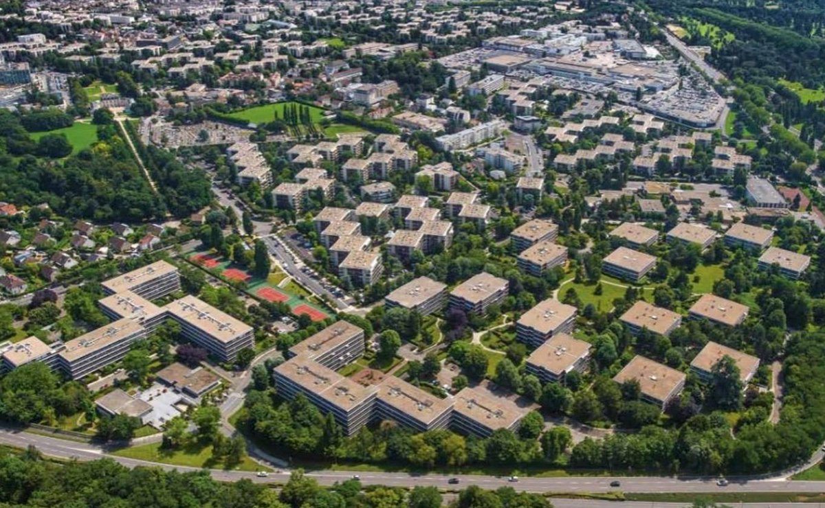 Les Mileistes Français 🦁🇫🇷 tweet media