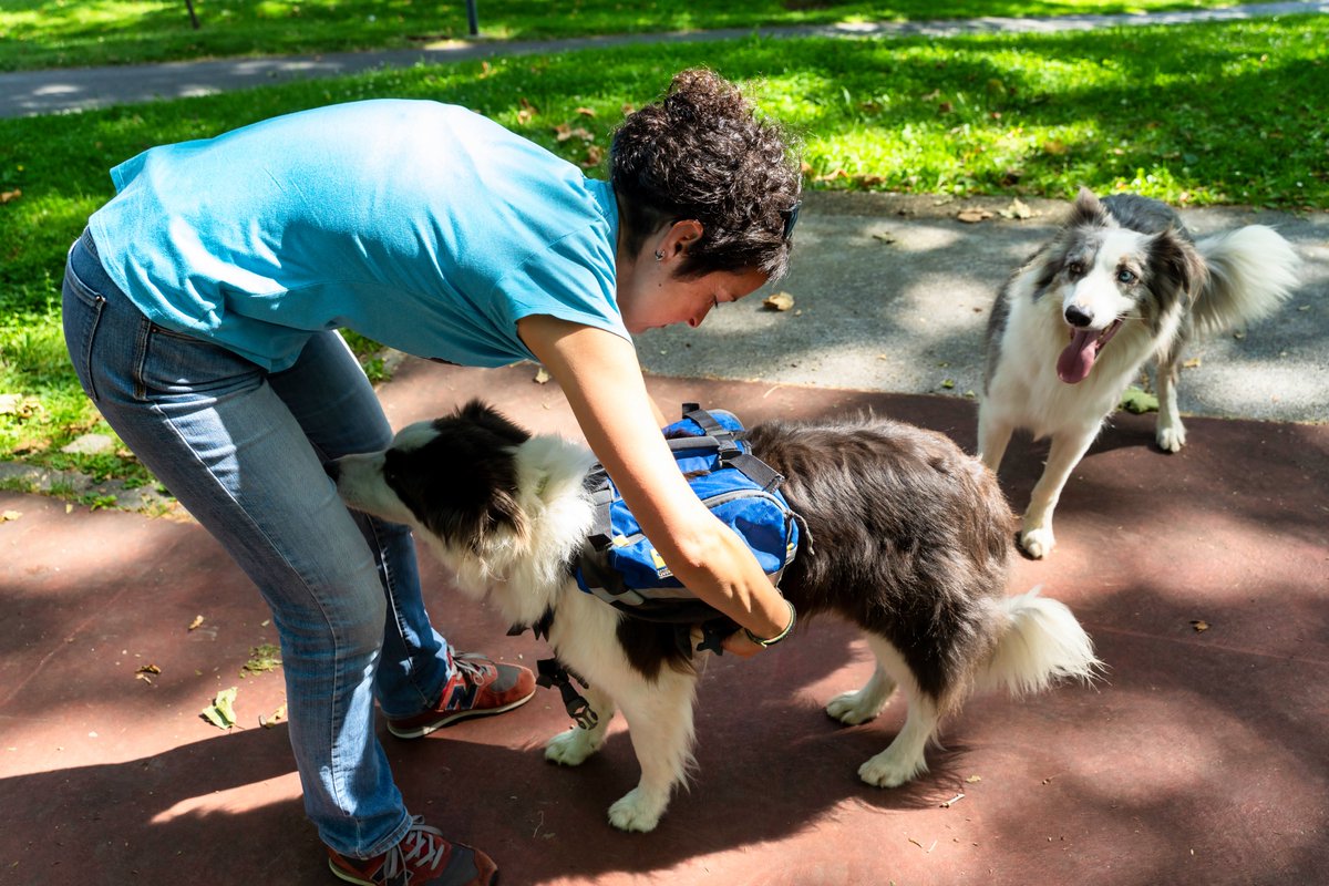 [KOMUNITATEA: Prest! aldizkaria] Elkarregaz Erakundea: “Gure ahalduntze prozesua beste emakume batzuekin partekatu nahi dugu”
uriola.eus/komunitatea/BL…