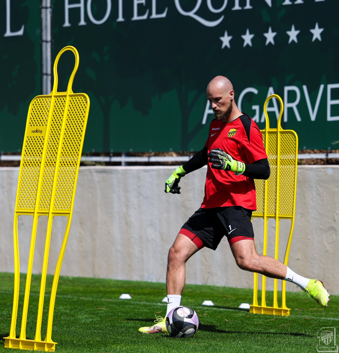 🚨🚨🚨🚨🚨🚨

رايكوفيتش في المرحلة الأخيرة قبل العودة ⏳🟡⚫️