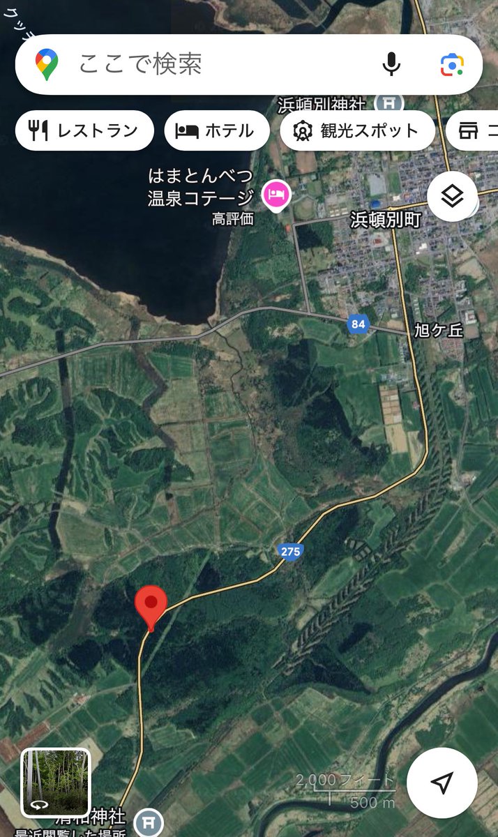 〜🐻情報〜
20時17分頃、浜頓別町の国道275号311kmポスト付近にて、道路の左右を行ったり来たりする熊を発見

付近を通行の方はご注意下さい。
※警察には情報提供済みです

（´-`）.｡oO(3年連続で道路横断中の熊を目撃してしまった… 全然嬉しくない…)