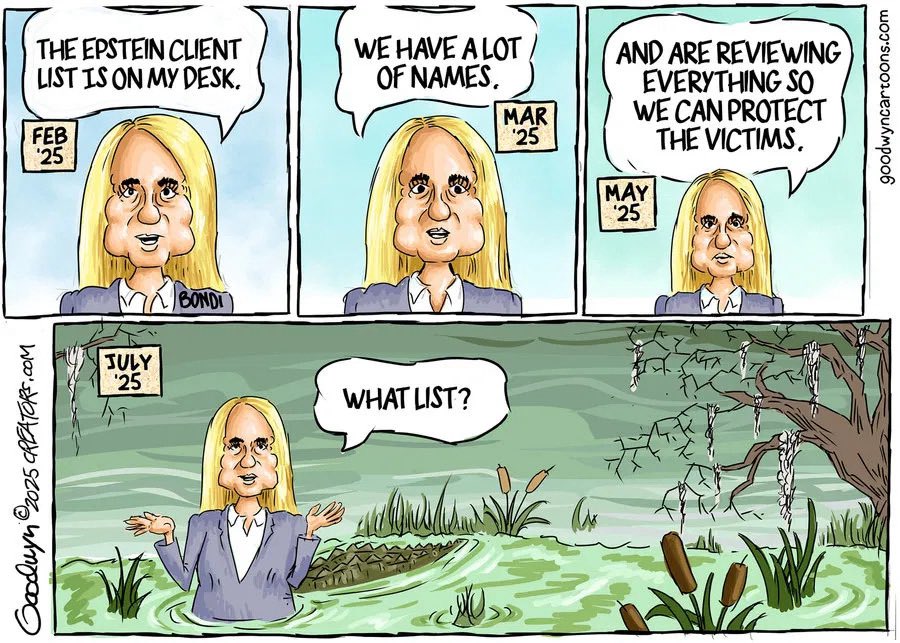 I still don’t know what folks expect to get from the Epstein files that isn’t already in the public domain.

BUT

It was Bondi &amp; Patel (among others) that said the FBI was covering up info.
It was Bondi that assigned 100s of DOJ &amp; FBI staff to comb through “10s of 1000s” of pages