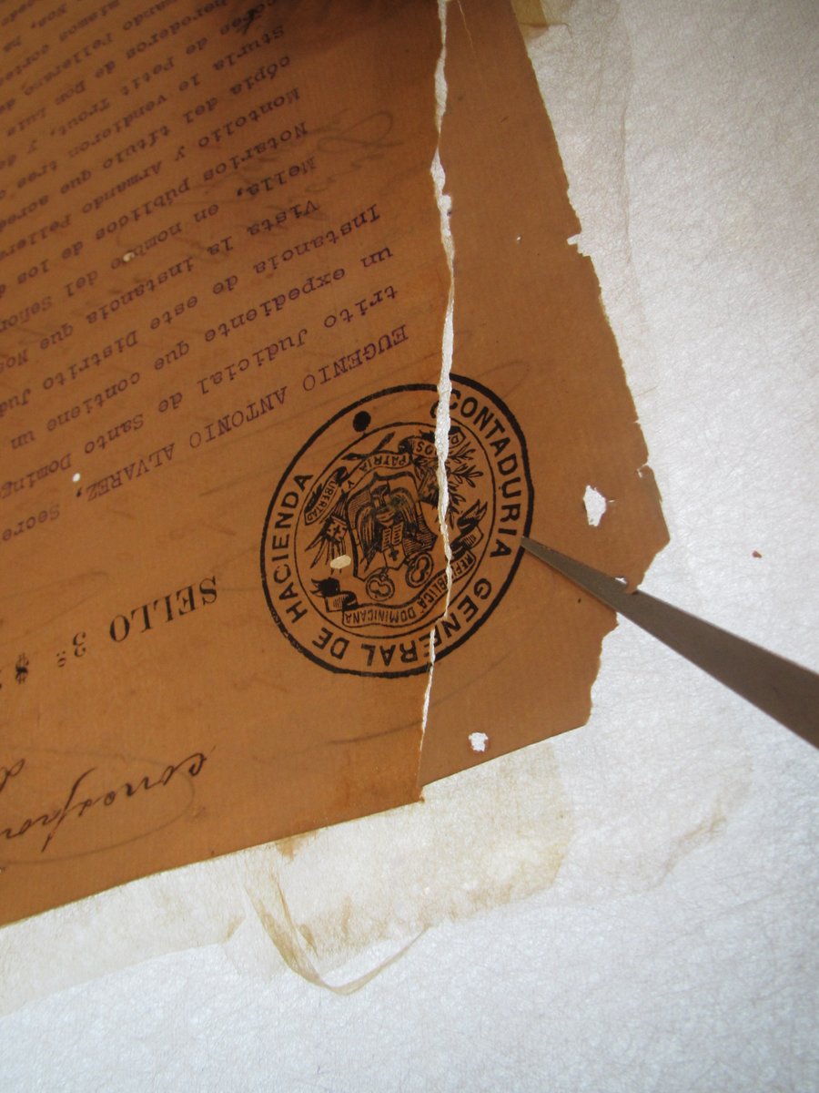 Iberarchivos (@iberarchivos) on Twitter photo 📜 Restaurando 9 Protocolos Notariales de República Dominicana (siglos XIX y XX), fuente clave para conocer la vida cotidiana: propiedad, oficios, comercio y más.
🌐 Proyecto 2022/031 cutt.ly/9rDMsG4a
<a href="/AGN_RD/">Archivo General de la Nación</a> 📜 Restaurando 9 Protocolos Notariales de República Dominicana (siglos XIX y XX), fuente clave para conocer la vida cotidiana: propiedad, oficios, comercio y más.
🌐 Proyecto 2022/031 cutt.ly/9rDMsG4a
<a href="/AGN_RD/">Archivo General de la Nación</a>