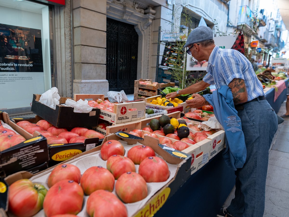 Firagost Valls tweet media