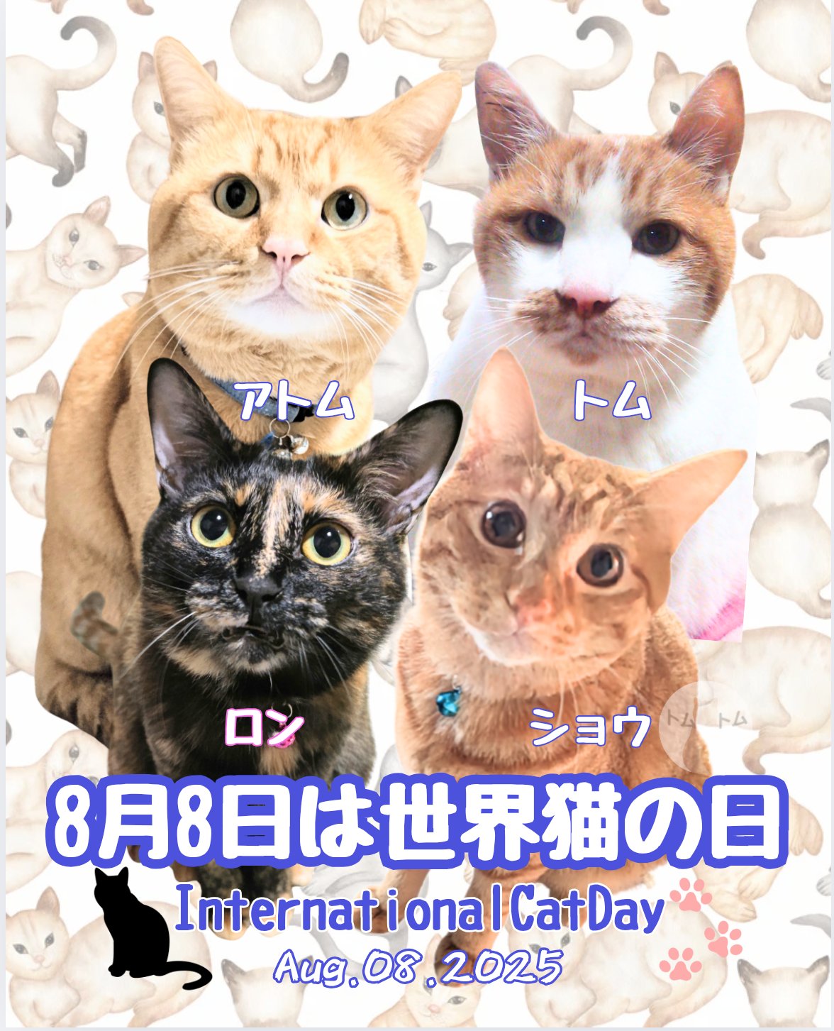 4月9月日頃購入予定【ツキネコ】猫ちゃん❤ミニトートバッグなど ショッピングバッグ ねこちゃんねこちゃん 〔W53×H40cm、持ち手