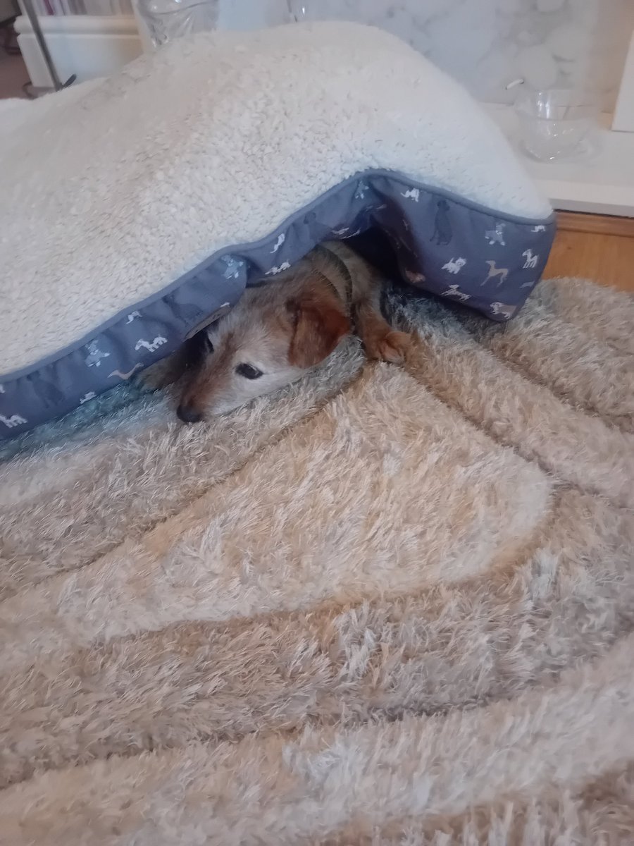 This picture of my beautiful 17 year old boy only got 1 like 
.come on guys and gal's give him a bit of love. It's ok I'm not making any money from x