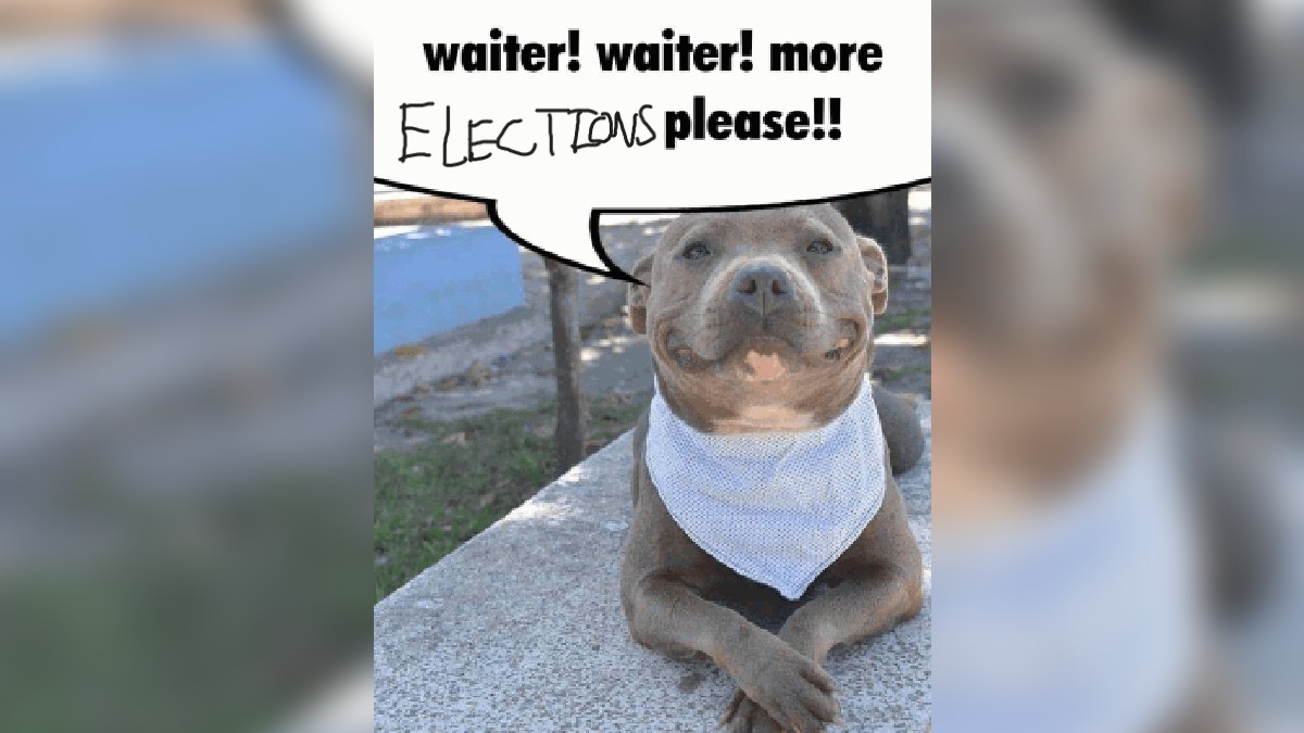 PhysicsMathsALP's tweet image. 