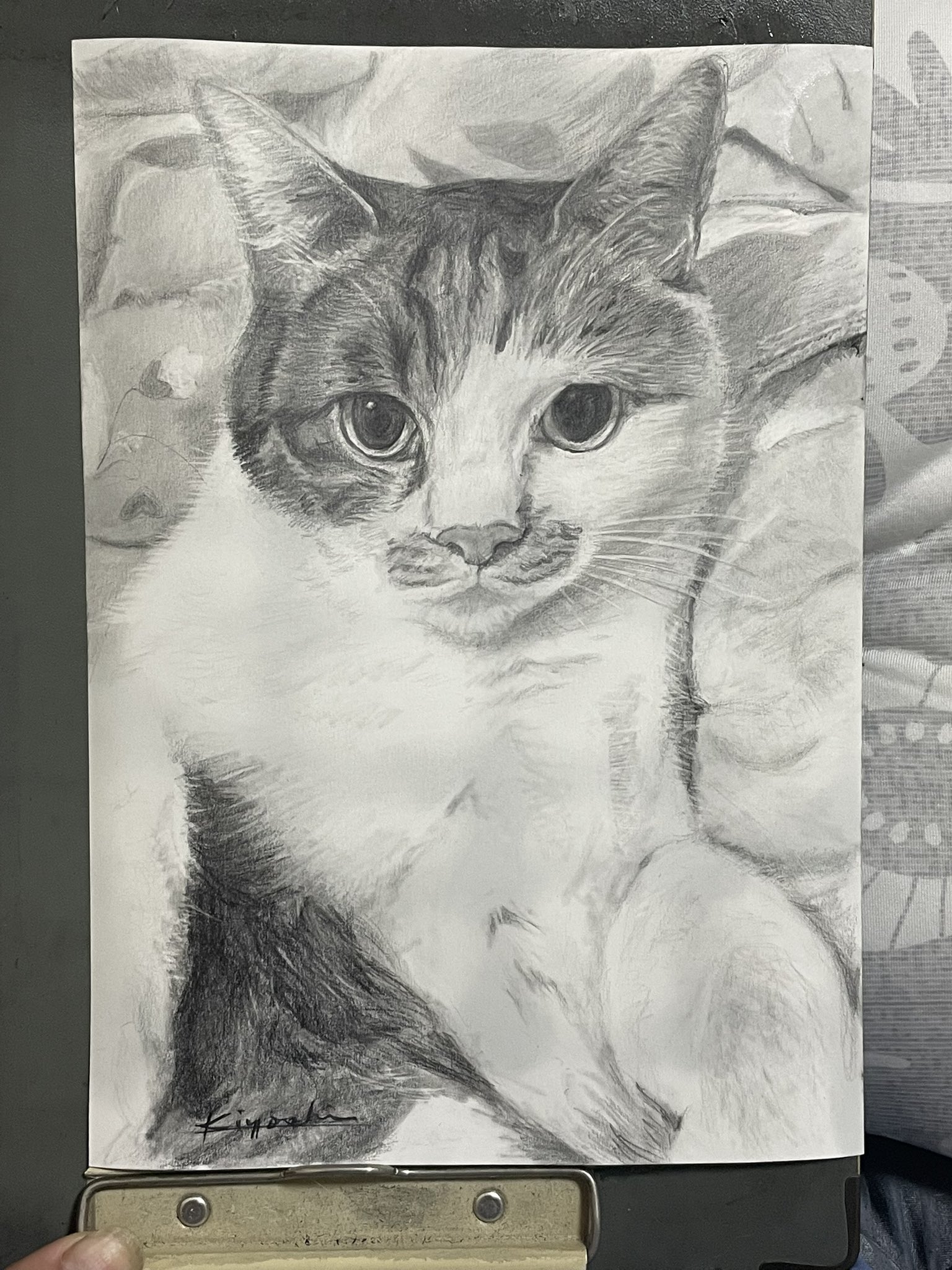 ちーちゃん☺︎シンプルなモノクロ鉛筆画 チワワ 鉛筆画 途中。 #鉛筆画#こいぬ #イラスト#白黒 #鉛筆画