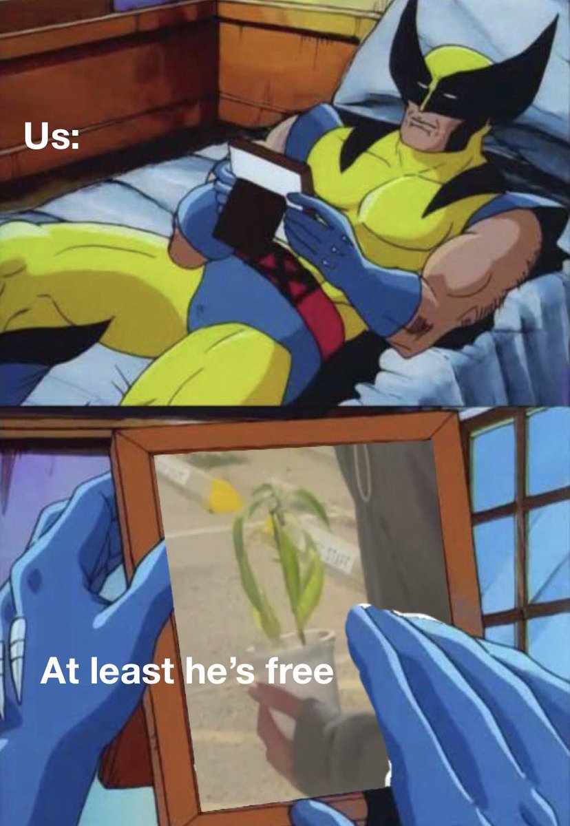 Grow strong brother!