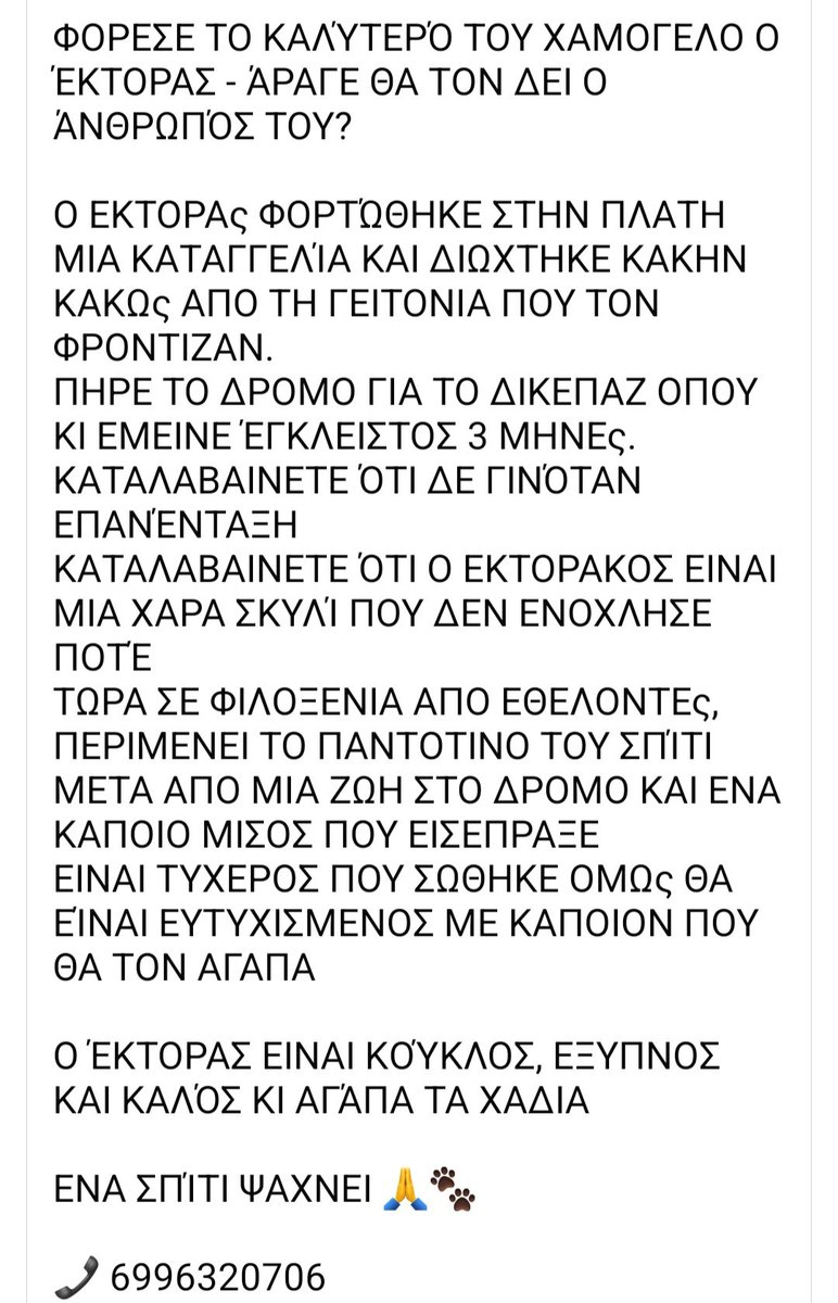 🆘️🆘️🆘️
Ο Έκτορας διωχτηκε απο την γειτονιά που τον φρόντιζαν κ κατέληξε στο ΔΙΚΕΠΑΖ 
Έμεινε 3 μήνες σε κλουβί κ τώρα βρίσκεται σε φιλοξενία απο εθελοντές 
Περιμένει το παντοτινό του σπιτι μετά απο μια ζωή στους δρόμους κ το μίσος που εισέπραξε
Rt 🙏 🙏 🙏