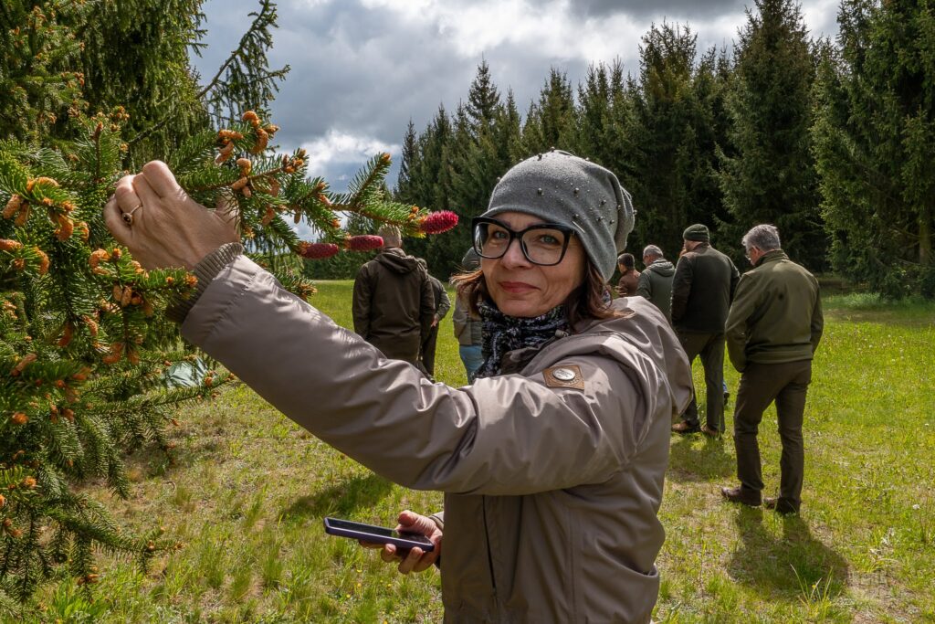 <a href="/IB_LES/">IBL</a> ogłasza nabór na trzecią edycję trwających 2 semestry Studiów Podyplomowych „Hodowla selekcyjna i genetyka drzew leśnych”.
Ramowy program Studiów Podyplomowych w roku akademickim 2025/2026:
ibles.pl/aktualnosci/tr…
